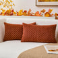 Boho Striped Corduroy Pillow Covers
