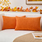 Boho Striped Corduroy Pillow Covers