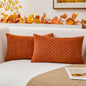 Boho Striped Corduroy Pillow Covers