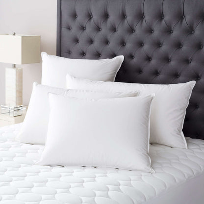 Down Pillow Insert Collection
