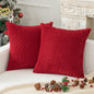 Boho Striped Corduroy Pillow Covers